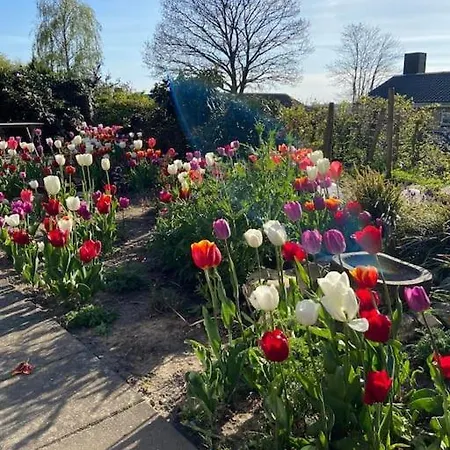 דירה Raekkehus Taet Pa Skov, So Og By *