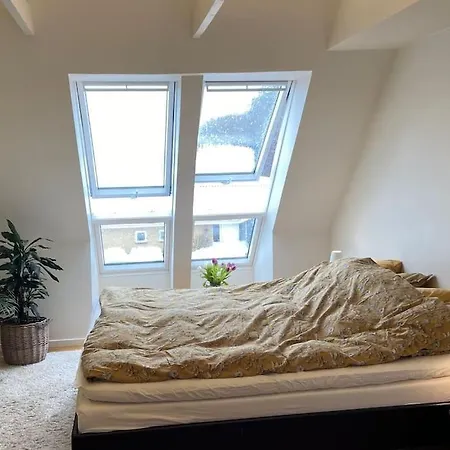 Raekkehus Taet Pa Skov, So Og By Apartment Viborg