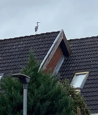 Raekkehus Taet Pa Skov, So Og By *