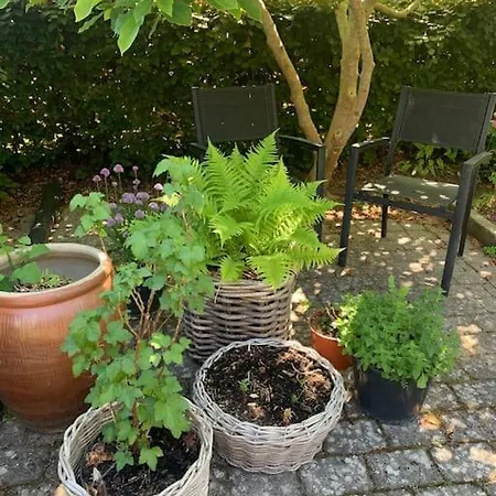 דירה Raekkehus Taet Pa Skov, So Og By