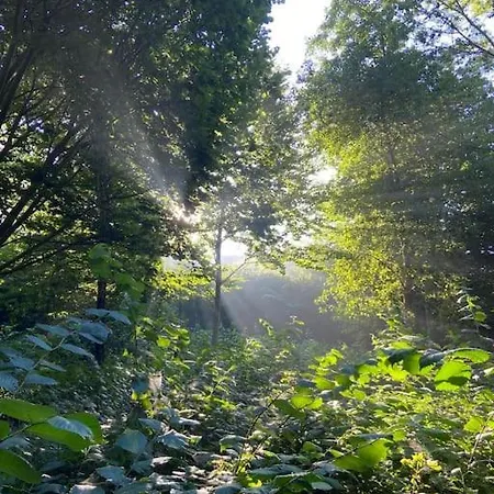 Raekkehus Taet Pa Skov, So Og By דירה *