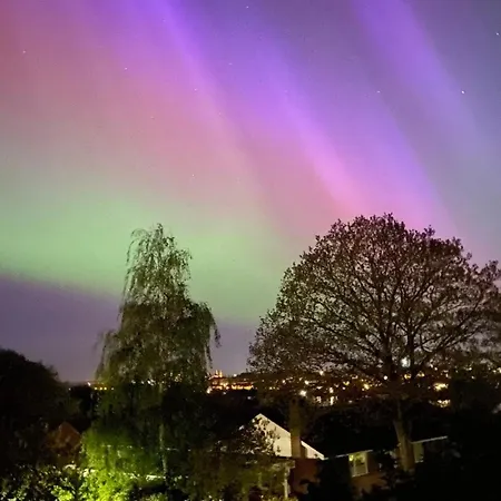 Lejlighed Rækkehus Tæt På Skov, Sø Og By Viborg